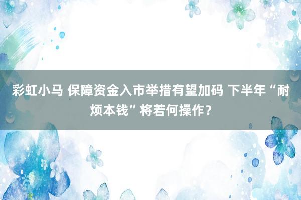 彩虹小马 保障资金入市举措有望加码 下半年“耐烦本钱”将若何操作？