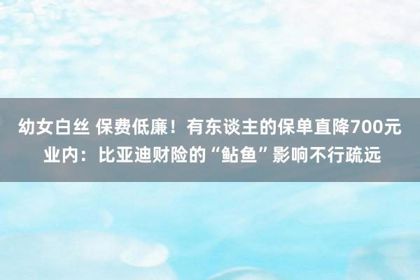 幼女白丝 保费低廉！有东谈主的保单直降700元 业内：比亚迪财险的“鲇鱼”影响不行疏远