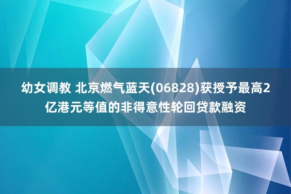 幼女调教 北京燃气蓝天(06828)获授予最高2亿港元等值的非得意性轮回贷款融资