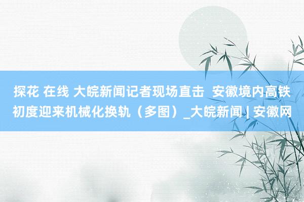 探花 在线 大皖新闻记者现场直击  安徽境内高铁初度迎来机械化换轨（多图）_大皖新闻 | 安徽网