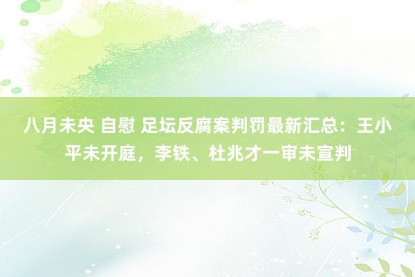 八月未央 自慰 足坛反腐案判罚最新汇总：王小平未开庭，李铁、杜兆才一审未宣判