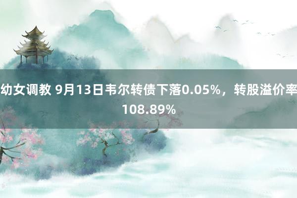 幼女调教 9月13日韦尔转债下落0.05%，转股溢价率108.89%