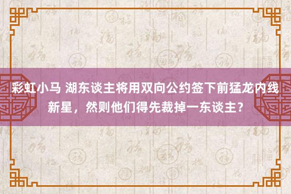 彩虹小马 湖东谈主将用双向公约签下前猛龙内线新星，然则他们得先裁掉一东谈主？