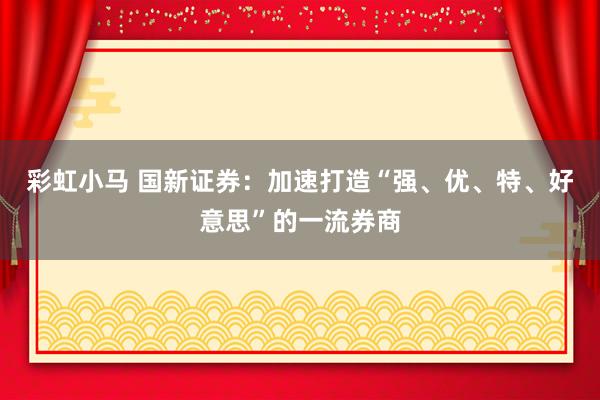 彩虹小马 国新证券：加速打造“强、优、特、好意思”的一流券商