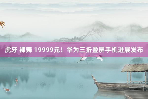 虎牙 裸舞 19999元！华为三折叠屏手机进展发布