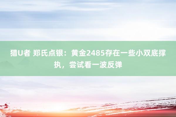 猎U者 郑氏点银：黄金2485存在一些小双底撑执，尝试看一波反弹