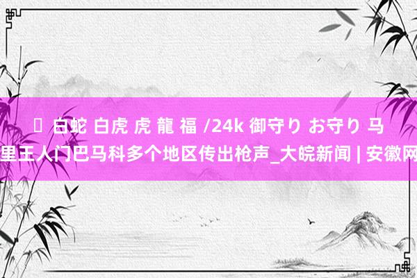 ✨白蛇 白虎 虎 龍 福 /24k 御守り お守り 马里王人门巴马科多个地区传出枪声_大皖新闻 | 安徽网