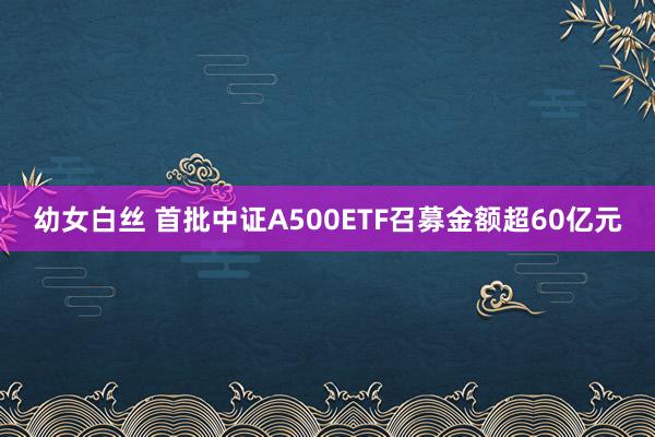 幼女白丝 首批中证A500ETF召募金额超60亿元