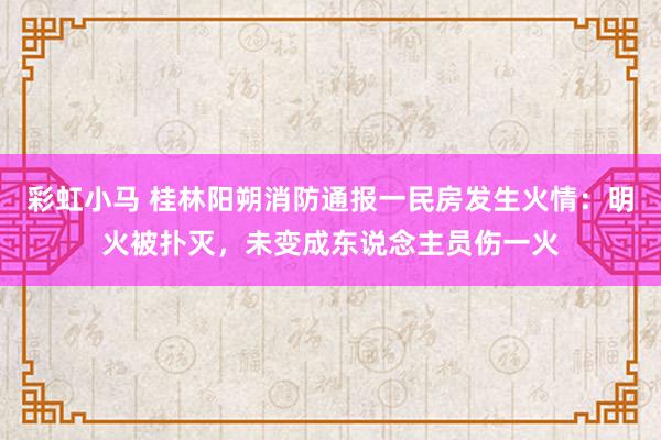 彩虹小马 桂林阳朔消防通报一民房发生火情：明火被扑灭，未变成东说念主员伤一火