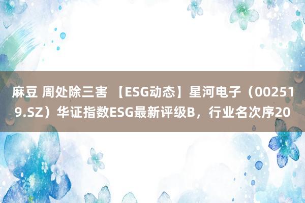 麻豆 周处除三害 【ESG动态】星河电子（002519.SZ）华证指数ESG最新评级B，行业名次序20