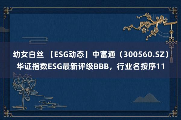 幼女白丝 【ESG动态】中富通（300560.SZ）华证指数ESG最新评级BBB，行业名按序11