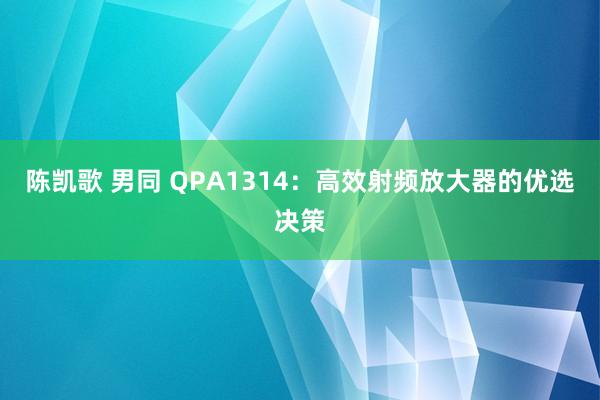 陈凯歌 男同 QPA1314：高效射频放大器的优选决策