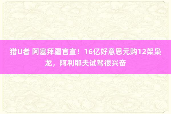 猎U者 阿塞拜疆官宣！16亿好意思元购12架枭龙，阿利耶夫试驾很兴奋