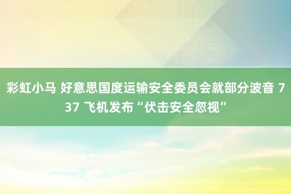 彩虹小马 好意思国度运输安全委员会就部分波音 737 飞机发布“伏击安全忽视”