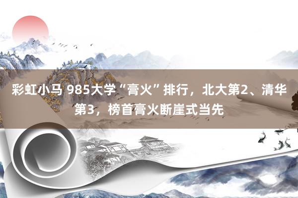 彩虹小马 985大学“膏火”排行，北大第2、清华第3，榜首膏火断崖式当先