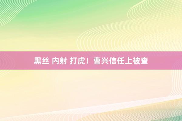 黑丝 内射 打虎！曹兴信任上被查