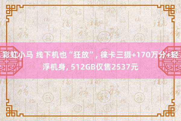 彩虹小马 线下机也“狂放”， 徕卡三摄+170万分+轻浮机身， 512GB仅售2537元