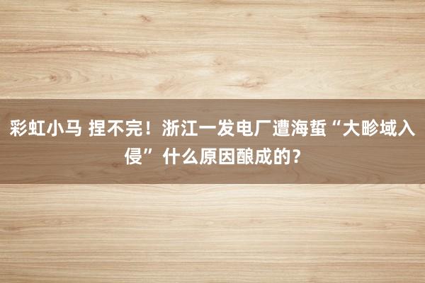 彩虹小马 捏不完！浙江一发电厂遭海蜇“大畛域入侵” 什么原因酿成的？