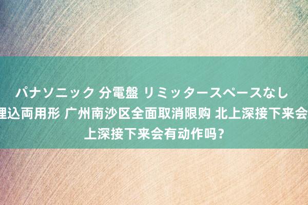 パナソニック 分電盤 リミッタースペースなし 露出・半埋込両用形 广州南沙区全面取消限购 北上深接下来会有动作吗？