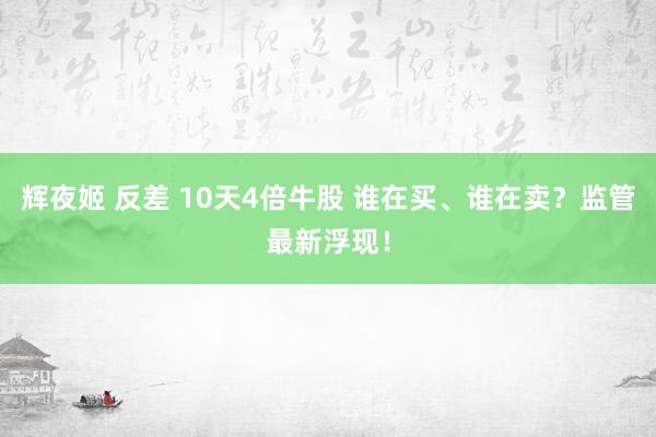 辉夜姬 反差 10天4倍牛股 谁在买、谁在卖？监管最新浮现！