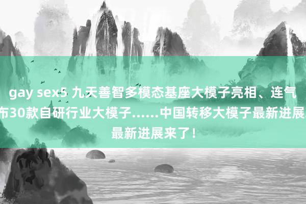 gay sex5 九天善智多模态基座大模子亮相、连气儿发布30款自研行业大模子......中国转移大模子最新进展来了！