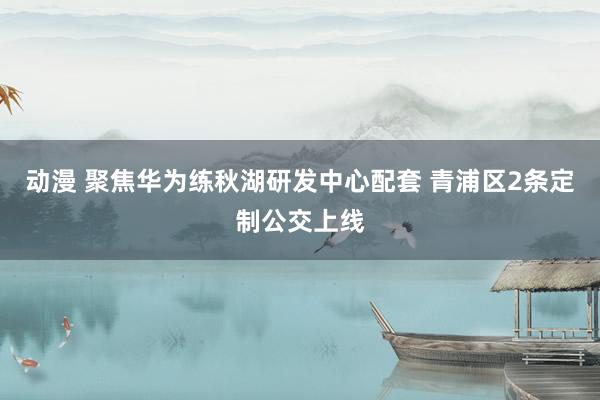 动漫 聚焦华为练秋湖研发中心配套 青浦区2条定制公交上线