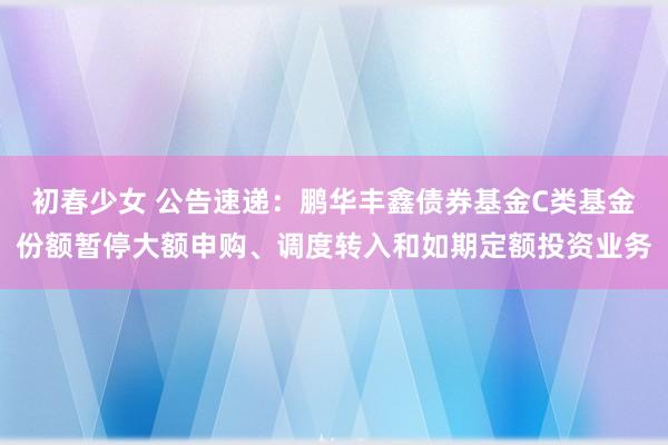 初春少女 公告速递：鹏华丰鑫债券基金C类基金份额暂停大额申购、调度转入和如期定额投资业务