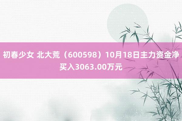 初春少女 北大荒（600598）10月18日主力资金净买入3063.00万元