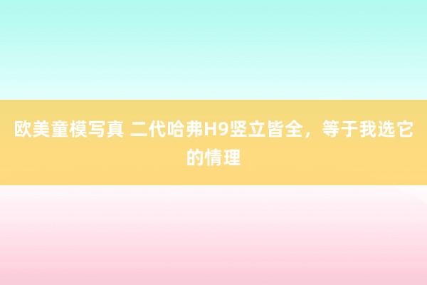 欧美童模写真 二代哈弗H9竖立皆全，等于我选它的情理