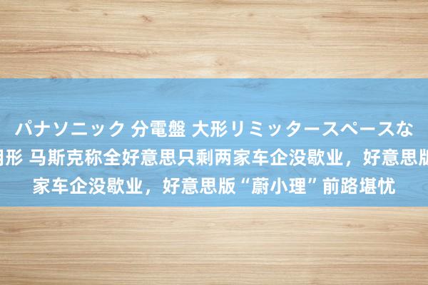 パナソニック 分電盤 大形リミッタースペースなし 露出・半埋込両用形 马斯克称全好意思只剩两家车企没歇业，好意思版“蔚小理”前路堪忧