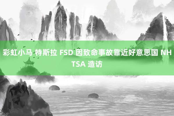 彩虹小马 特斯拉 FSD 因致命事故靠近好意思国 NHTSA 造访