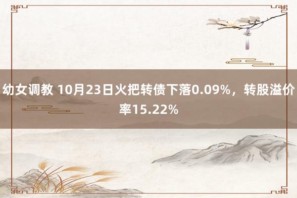 幼女调教 10月23日火把转债下落0.09%，转股溢价率15.22%