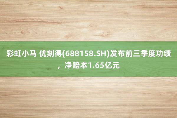 彩虹小马 优刻得(688158.SH)发布前三季度功绩，净赔本1.65亿元