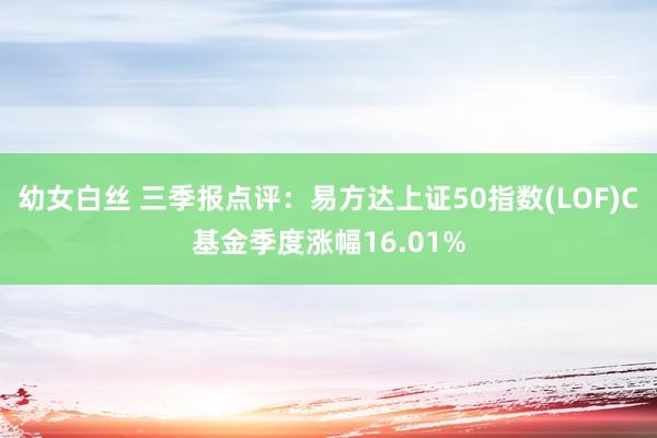 幼女白丝 三季报点评：易方达上证50指数(LOF)C基金季度涨幅16.01%