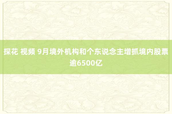 探花 视频 9月境外机构和个东说念主增抓境内股票逾6500亿