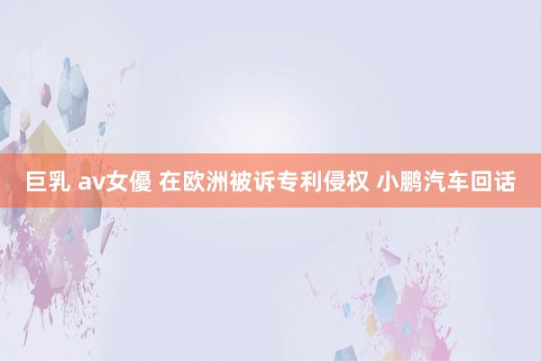 巨乳 av女優 在欧洲被诉专利侵权 小鹏汽车回话