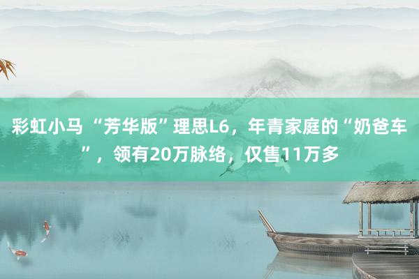 彩虹小马 “芳华版”理思L6，年青家庭的“奶爸车”，领有20万脉络，仅售11万多