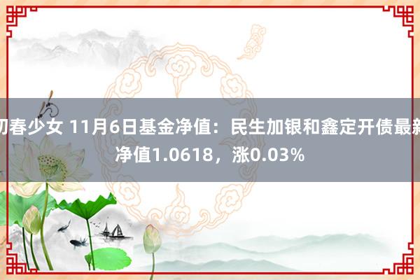 初春少女 11月6日基金净值：民生加银和鑫定开债最新净值1.0618，涨0.03%