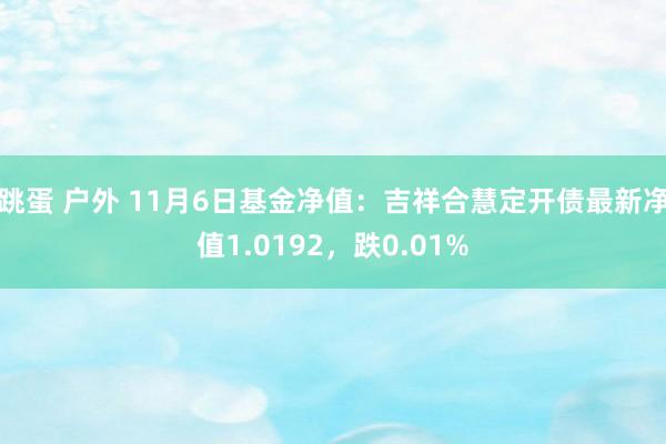 跳蛋 户外 11月6日基金净值：吉祥合慧定开债最新净值1.0192，跌0.01%