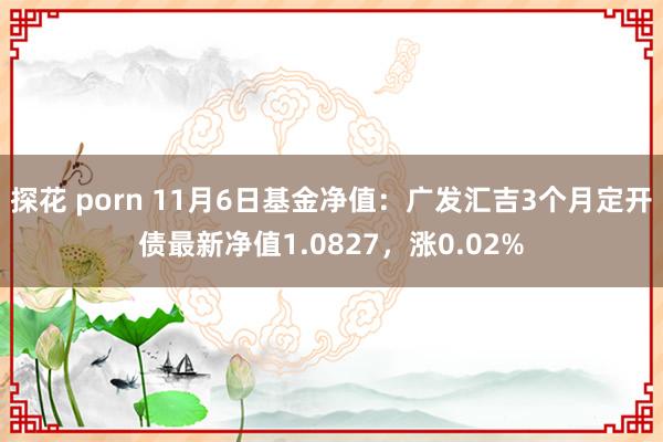 探花 porn 11月6日基金净值：广发汇吉3个月定开债最新净值1.0827，涨0.02%