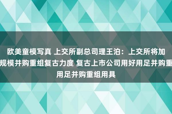 欧美童模写真 上交所副总司理王泊：上交所将加大科创规模并购重组复古力度 复古上市公司用好用足并购重组用具