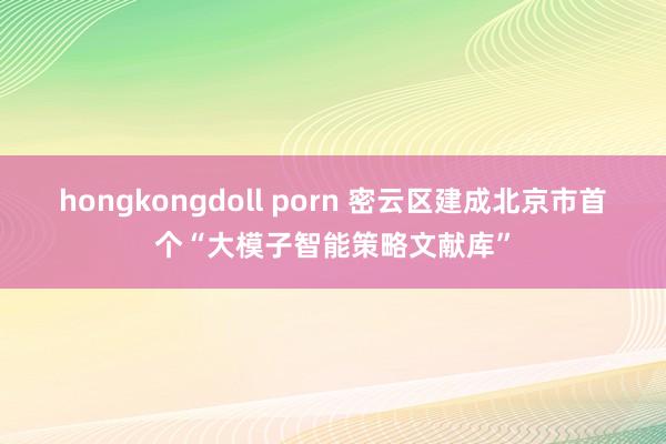 hongkongdoll porn 密云区建成北京市首个“大模子智能策略文献库”