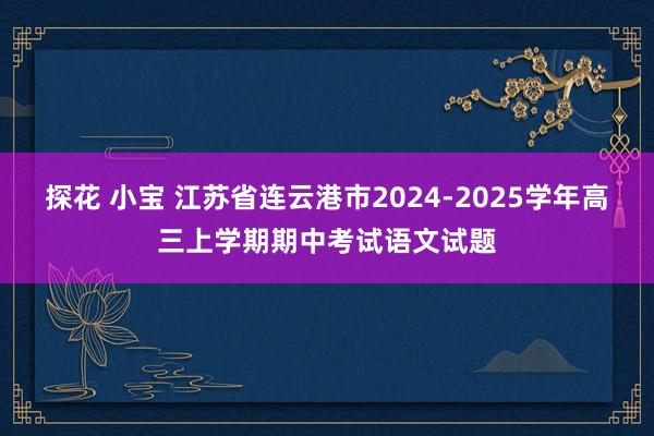 探花 小宝 江苏省连云港市2024-2025学年高三上学期期中考试语文试题