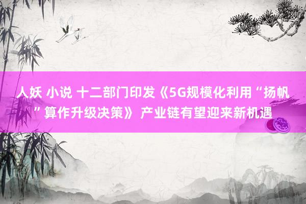 人妖 小说 十二部门印发《5G规模化利用“扬帆”算作升级决策》 产业链有望迎来新机遇