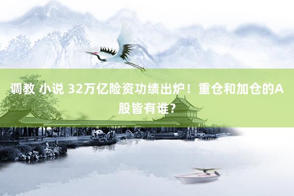 调教 小说 32万亿险资功绩出炉！重仓和加仓的A股皆有谁？