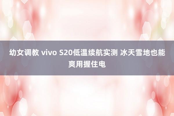 幼女调教 vivo S20低温续航实测 冰天雪地也能爽用握住电