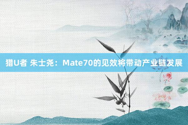 猎U者 朱士尧：Mate70的见效将带动产业链发展