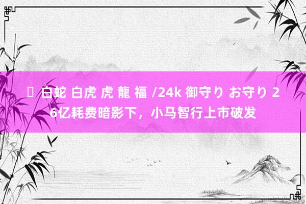 ✨白蛇 白虎 虎 龍 福 /24k 御守り お守り 26亿耗费暗影下，小马智行上市破发